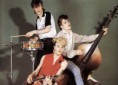 /album/bildgalleri/stray-cats-1-jpg/